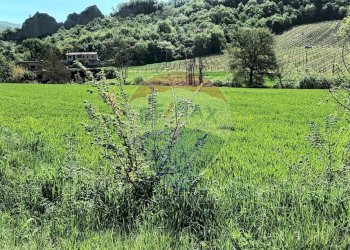Giardino - Agricultural land via acqua zolfina, Castelfranco Piandiscò - photo 21