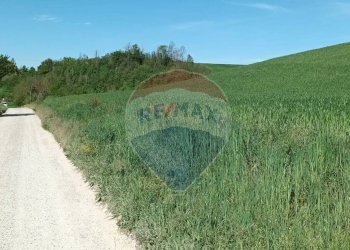 Vista delle montagne - Agricultural land via acqua zolfina, Castelfranco Piandiscò - photo 22