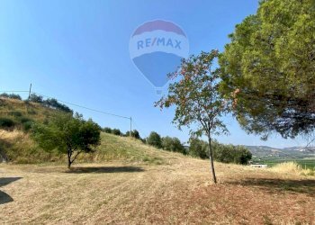 Giardino - Villa CONTRADA GABELLUCCIA
 
SNC, Corigliano-Rossano - foto 31