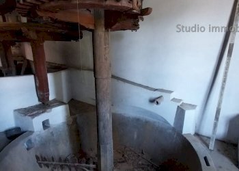 Foto 17 - Rustico Via dello Stadio, Camaiore - foto 16