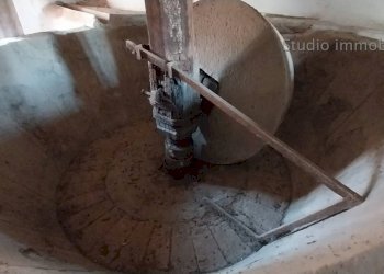 Foto 18 - Rustico Via dello Stadio, Camaiore - foto 17