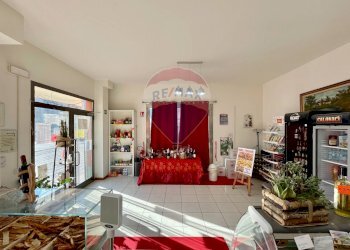 Soggiorno - Attività Commerciale Piazza dell'Unione Europea
15, Montelupo Fiorentino - foto 11