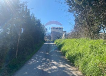 Giardino - Casa semi indipendente Città di Castello - foto 7