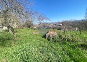 Giardino - Casa semi indipendente Città di Castello - foto 32