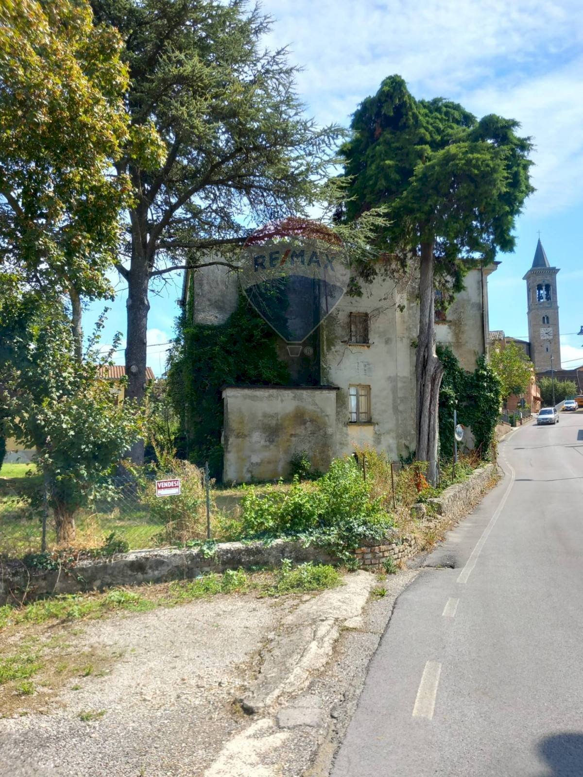 Giardino - Casa indipendente Via Pieve
2, Fratte Rosa - foto 2