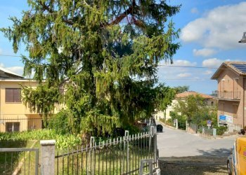 Terrazza - Independent house Via Pieve
 
2, Fratte Rosa - photo 4