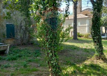 Giardino - Independent house Via Pieve
 
2, Fratte Rosa - photo 14