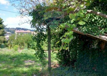 Giardino - Independent house Via Pieve
 
2, Fratte Rosa - photo 16