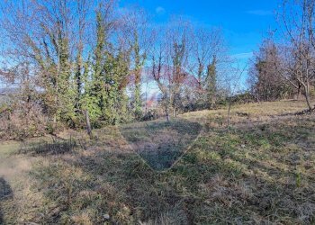 Giardino - Casa semi indipendente Via Tetti Grosso, Sciolze - foto 19