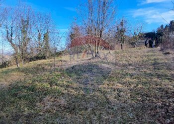 Giardino - Casa semi indipendente Via Tetti Grosso, Sciolze - foto 21