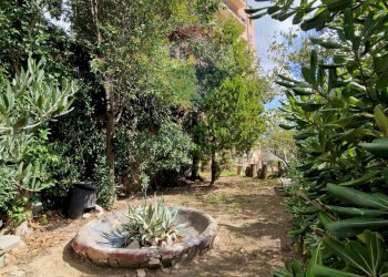 Giardino - Casa semi indipendente Via Nicola Guardiagrele
 
23, Chieti - foto 16