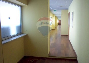 Hall / corridoio - Residence Via Spoleto, Torino - foto 11