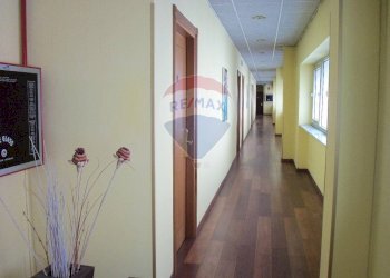 Hall / corridoio - Residence Via Spoleto, Torino - foto 13