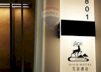 Dettagli - Attività Commerciale Via Torino, Borgaro Torinese - foto 11