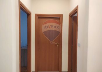 Hall / corridoio - Quadrilocale Via Spalato
 
77, Torino - foto 32