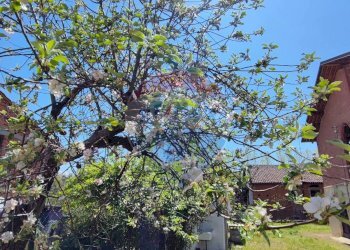 Edificio all\'aperto - Villa strada comunale crocetta
 
55, Castello di Annone - foto 13