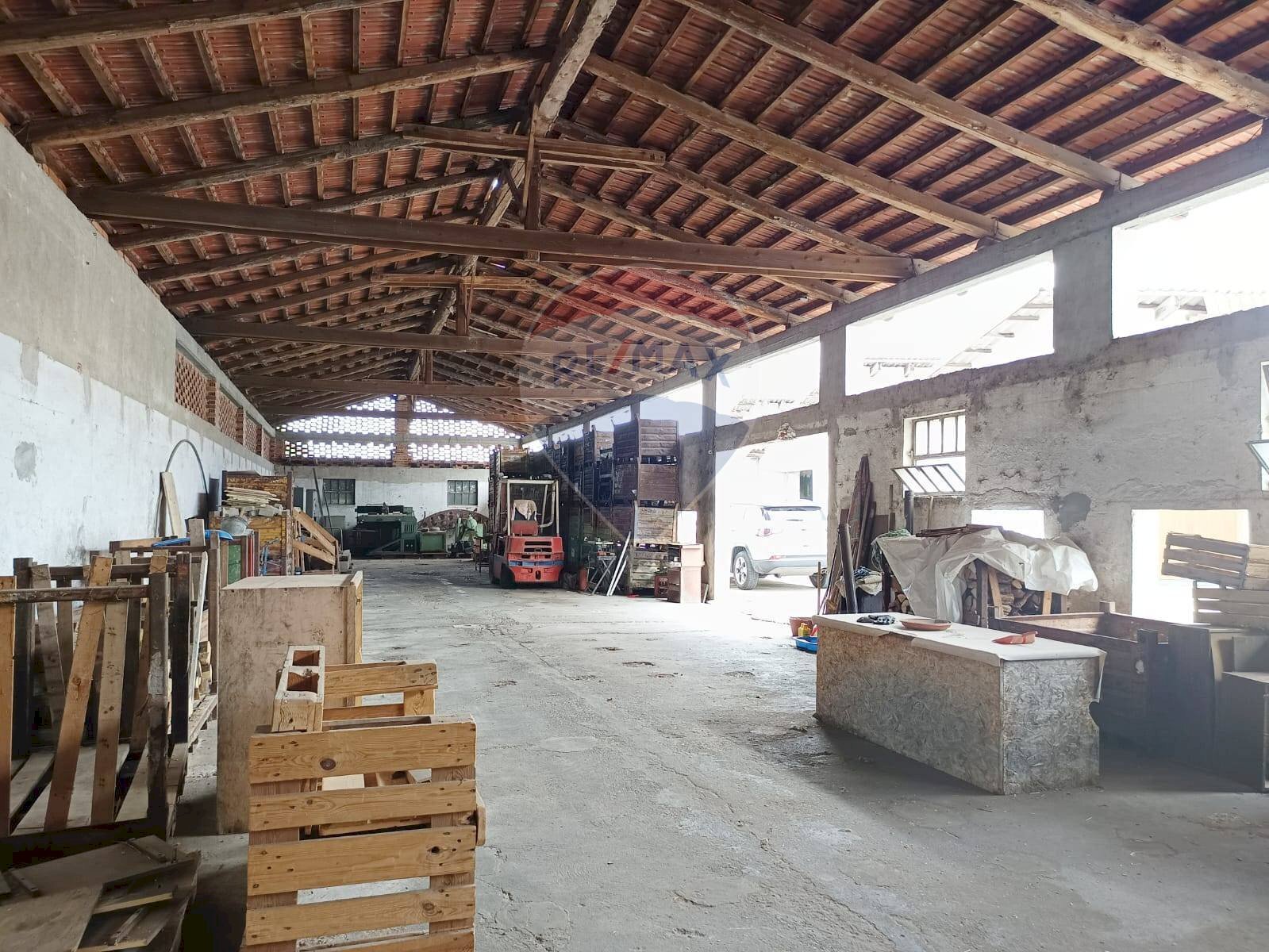 Parcheggio - Capannone Piscina - foto 1