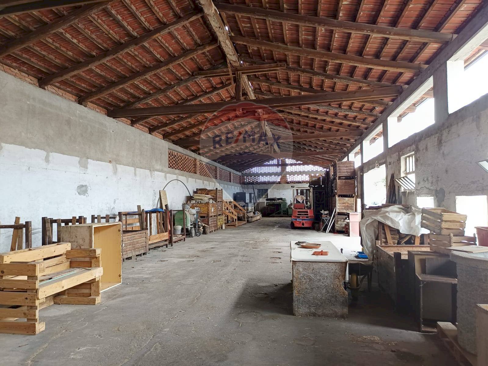 Parcheggio - Capannone Piscina - foto 3