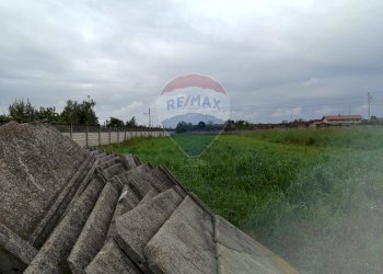 Giardino - Capannone Piscina - foto 16