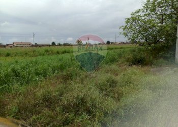 Giardino - Capannone Piscina - foto 18