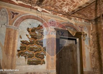 Dettagli - Rustico Via Roma
 
54, Castagnole Monferrato - foto 23