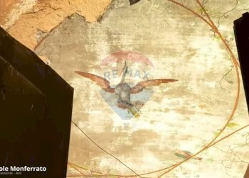 Dettagli - Rustico Via Roma
 
54, Castagnole Monferrato - foto 26