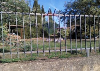 Giardino - Villa Mottafollone - foto 8
