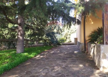 Giardino - Villa Mottafollone - foto 24