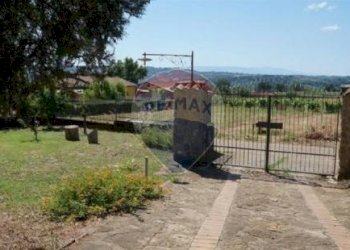 Giardino - Villa Mottafollone - foto 25