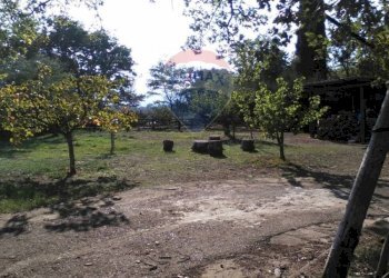 Giardino - Villa Mottafollone - foto 27