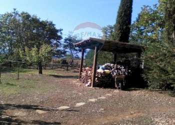 Giardino - Villa Mottafollone - foto 28