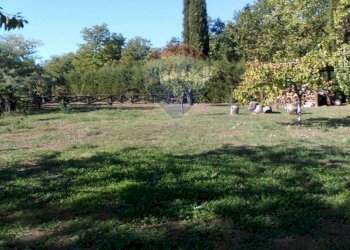 Giardino - Villa Mottafollone - foto 29