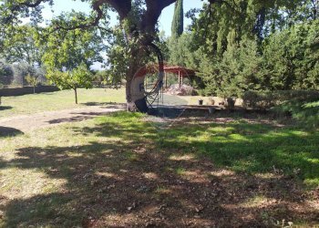 Giardino - Villa Mottafollone - foto 30