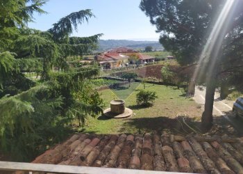 Giardino - Villa Mottafollone - foto 82