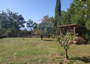 Giardino - Villa Mottafollone - foto 83