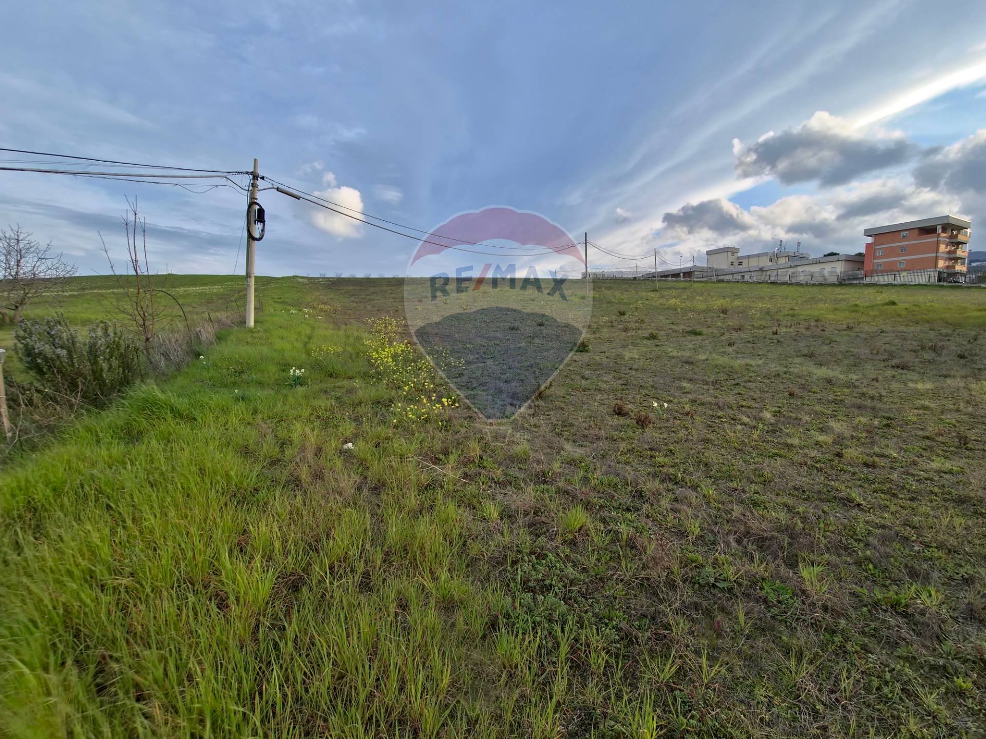 Vista delle montagne - Terreno agricolo contrada pezze, San Marco Argentano - foto 1