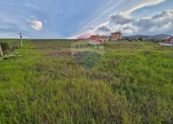Vista delle montagne - Terreno agricolo contrada pezze, San Marco Argentano - foto 6