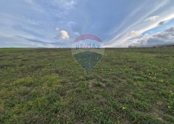 Vista delle montagne - Terreno agricolo contrada pezze, San Marco Argentano - foto 3