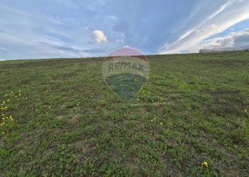 Giardino - Terreno agricolo contrada pezze, San Marco Argentano - foto 4