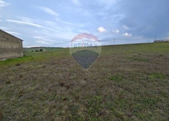 Giardino - Terreno agricolo contrada pezze, San Marco Argentano - foto 12