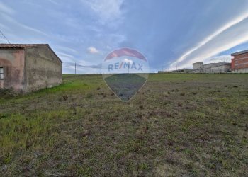 Giardino - Terreno agricolo contrada pezze, San Marco Argentano - foto 14
