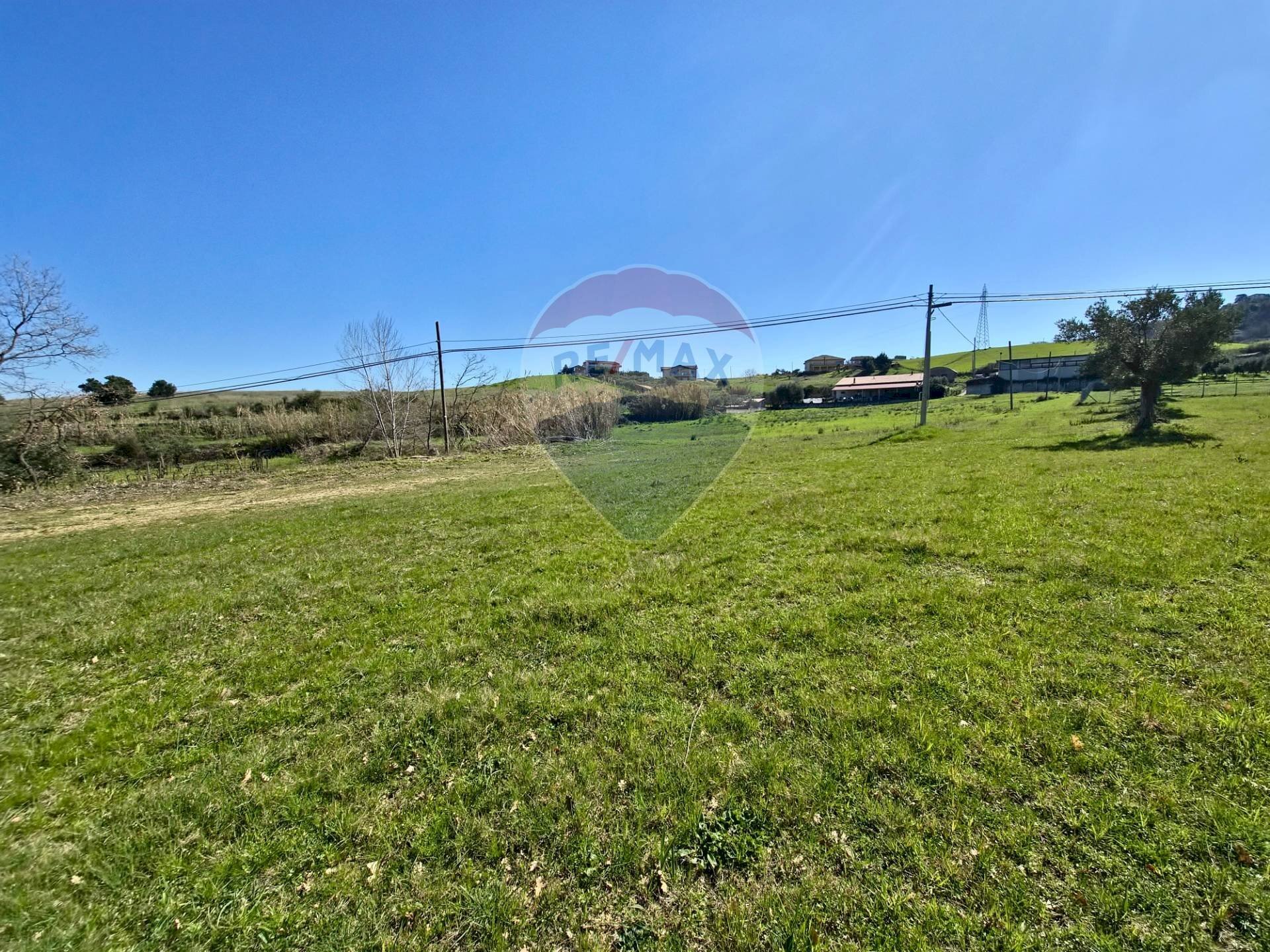 Giardino - Terreno edificabile contrada pezze, San Marco Argentano - foto 3