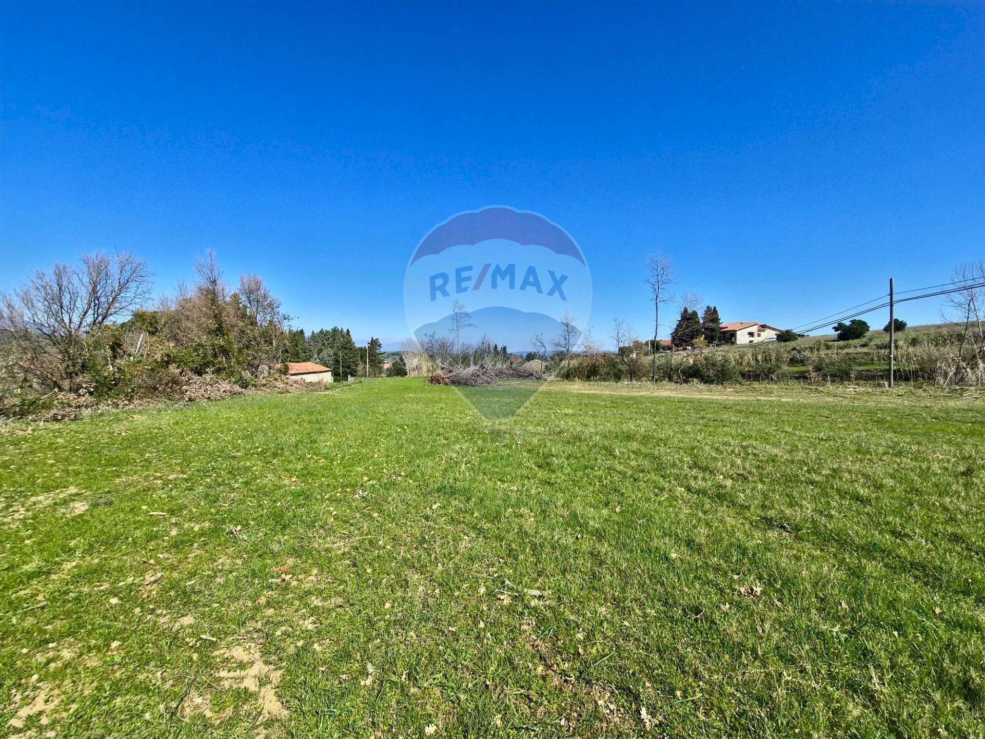 Giardino - Terreno edificabile contrada pezze, San Marco Argentano - foto 2