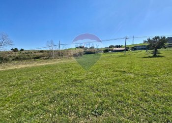 Giardino - Terreno edificabile contrada pezze, San Marco Argentano - foto 3