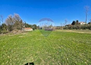 Giardino - Terreno edificabile contrada pezze, San Marco Argentano - foto 6
