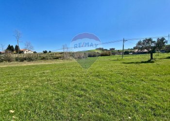 Giardino - Terreno edificabile contrada pezze, San Marco Argentano - foto 1