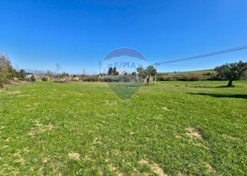 Giardino - Terreno edificabile contrada pezze, San Marco Argentano - foto 7