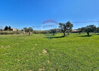 Giardino - Terreno edificabile contrada pezze, San Marco Argentano - foto 8