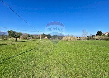 Giardino - Terreno edificabile contrada pezze, San Marco Argentano - foto 9