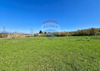 Giardino - Terreno edificabile contrada pezze, San Marco Argentano - foto 10